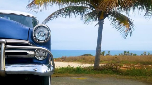 beautiful retro car on the ocean and palm trees