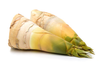 Bamboo shoot on the white background 