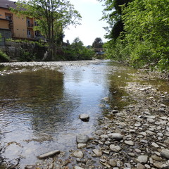 river in the park
