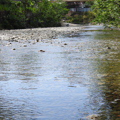 a shallow river with a rocky bed