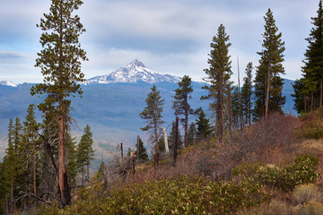 View of the Mt Jefferson from Green Ridge in central Oregon in the morning.