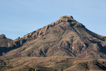 Desert landscape with Mountains