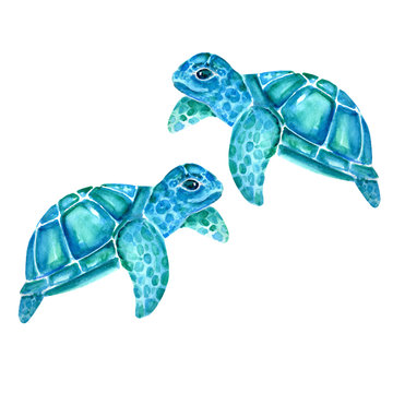  Aquarelle painting of turtle sketch art pattern illustration