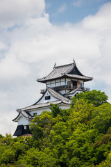 夏の国宝の犬山城の風景