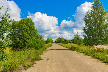 Fototapeta na wymiar summer landscape asphalt road in the countryside