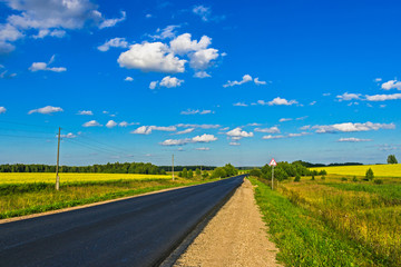 summer landscape asphalt road in the field