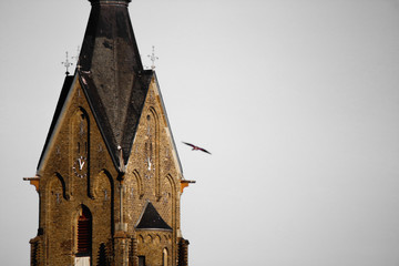 church and bird
