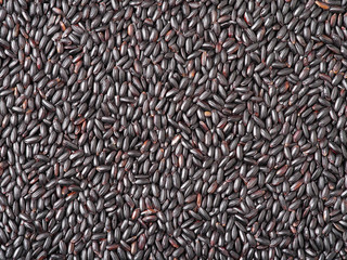 the background textures of black rice 