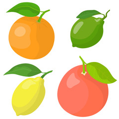 Set of citrus fruits. Lemon, lime, orange and grapefruit in cartoon style.