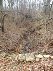 Stream creek in small forest woods countryside water drainage