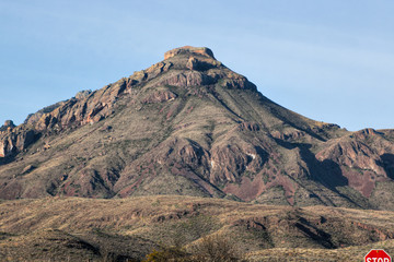 Desert landscape with Mountains
