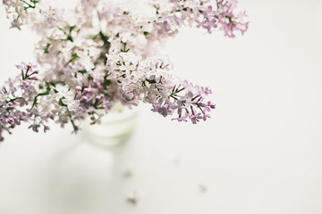 beautiful lilac flowers on the window in a vase, background - 350935434