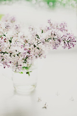 beautiful lilac flowers on the window in a vase, background - 350935466