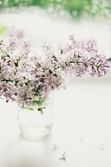 beautiful lilac flowers on the window in a vase, background - 350935472