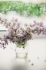 beautiful lilac flowers on the window in a vase, background - 350935490