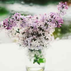 beautiful lilac flowers on the window in a vase, background - 350935651