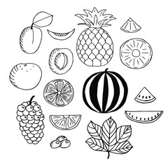 Set of fruits, vector illustration, apricot, pineapple, orange, watermelon and grapes, whole fruits,  halves, piece and leaves hand drawing