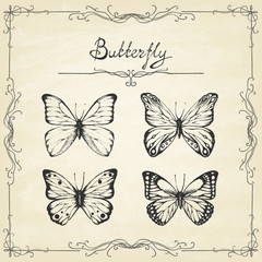 Set of hand drawn butterflies on old paper. Entomological collection of highly detailed hand drawn butterflies. Retro vintage style. Vector illustration. 