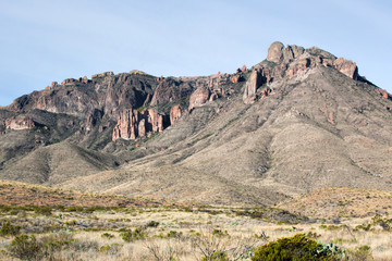 Desert landscape with Mountains