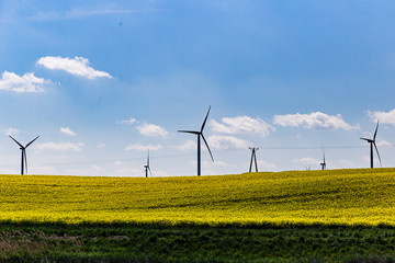 windmill_on rape fields