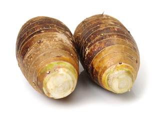 Taro on a white background