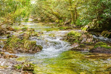 Mountain stream with waterfall and sunrays