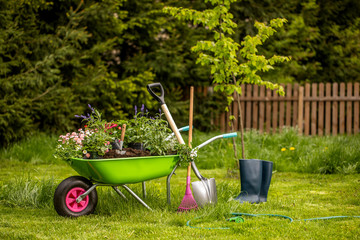 Wheelbarrow with gardening tools in the garden. Rakes, shovel, pitchfork, watering can. Beautiful background for the gardening concept - obrazy, fototapety, plakaty