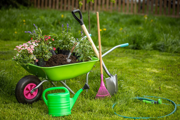 Wheelbarrow with gardening tools in the garden. Rakes, shovel, pitchfork, watering can. Beautiful background for the gardening concept