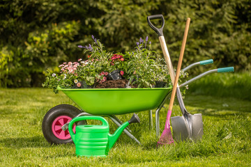 Wheelbarrow with gardening tools in the garden. Rakes, shovel, pitchfork, watering can. Beautiful...