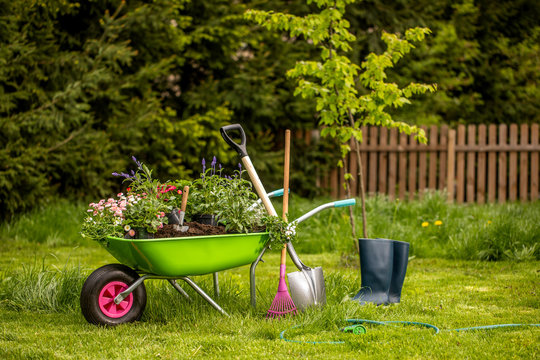 Wheelbarrow with gardening tools in the garden. Rakes, shovel, pitchfork, watering can. Beautiful background for the gardening concept - Powered by Adobe