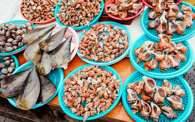 Sale of Fresh clams and turbo shells in Busan reflex