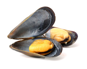 mussels isolated on white background © zcy