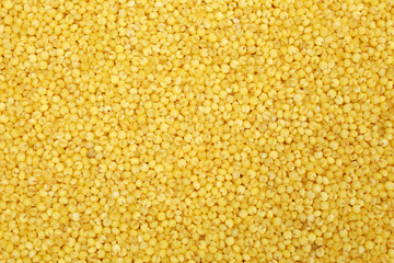 Yellow millet background 