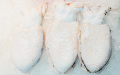 Sale of Fresh calamary in fish market in Busan reflex