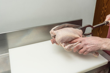professional and food handler in the cutting and trimming of chickens with scissors anchored to a work table
