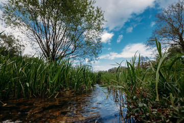 View of a creek flowing through green grass against the blue sky