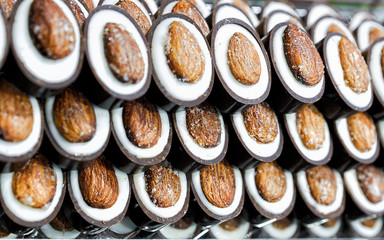 Swiss chocolate praline sweet with almond reflex