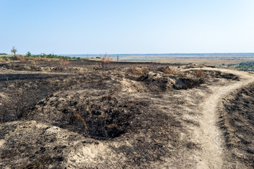 Burned out coastal grassland