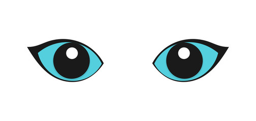 Blue cat eyes on white background.