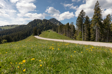 Blick von der Auer Alm zum Fockenstein im Frühjahr