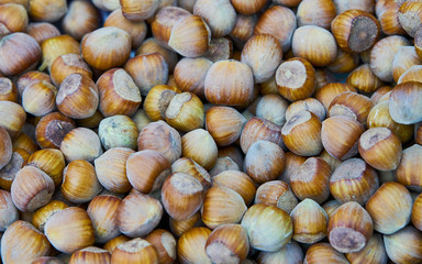 Forest hazelnuts background reflex