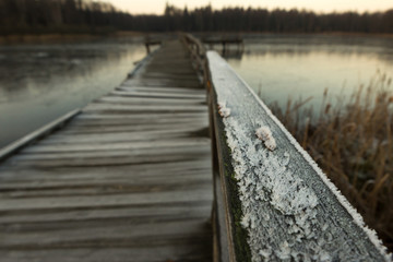 stary zniszczony oszroniony drewniany mostek na stawie, topiło, podlaskie, polska, zima, puszcza białowieska