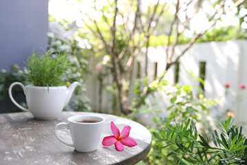 Coffee with pink plumeria flower and plant on wooden table  at exterior 