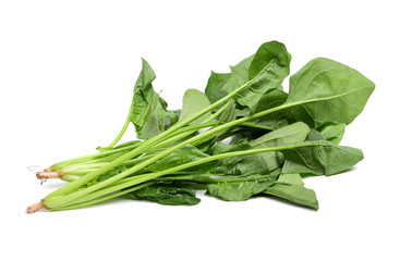 spinach leaves