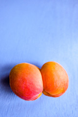 An ugly organic fruit-an oddly shaped yellow apricot on a blue background. Buying imperfect...