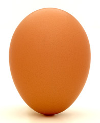 Brown chicken egg standing on end with base shadow