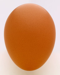 Brown chicken egg standing on end