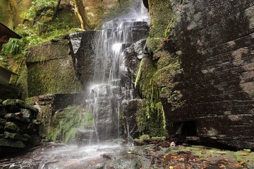 Fototapeta na wymiar 青葉の滝