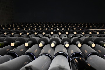 Obraz na płótnie Canvas Bottles of wine in a winery