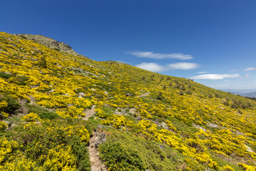 View of the surrounding area of Peñalara mountain in Madrid (Spain)